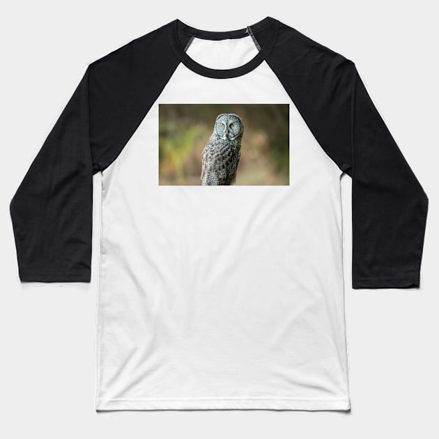 Great Grey Owl Portrait Baseball T-Shirt by JeffreySchwartz